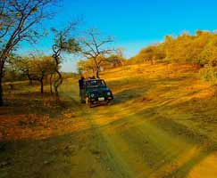 Sasan Gir Travel Package