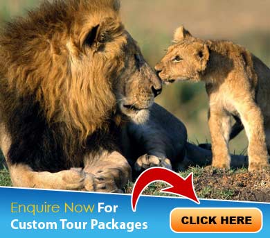 Sasan Gir Tour Packages